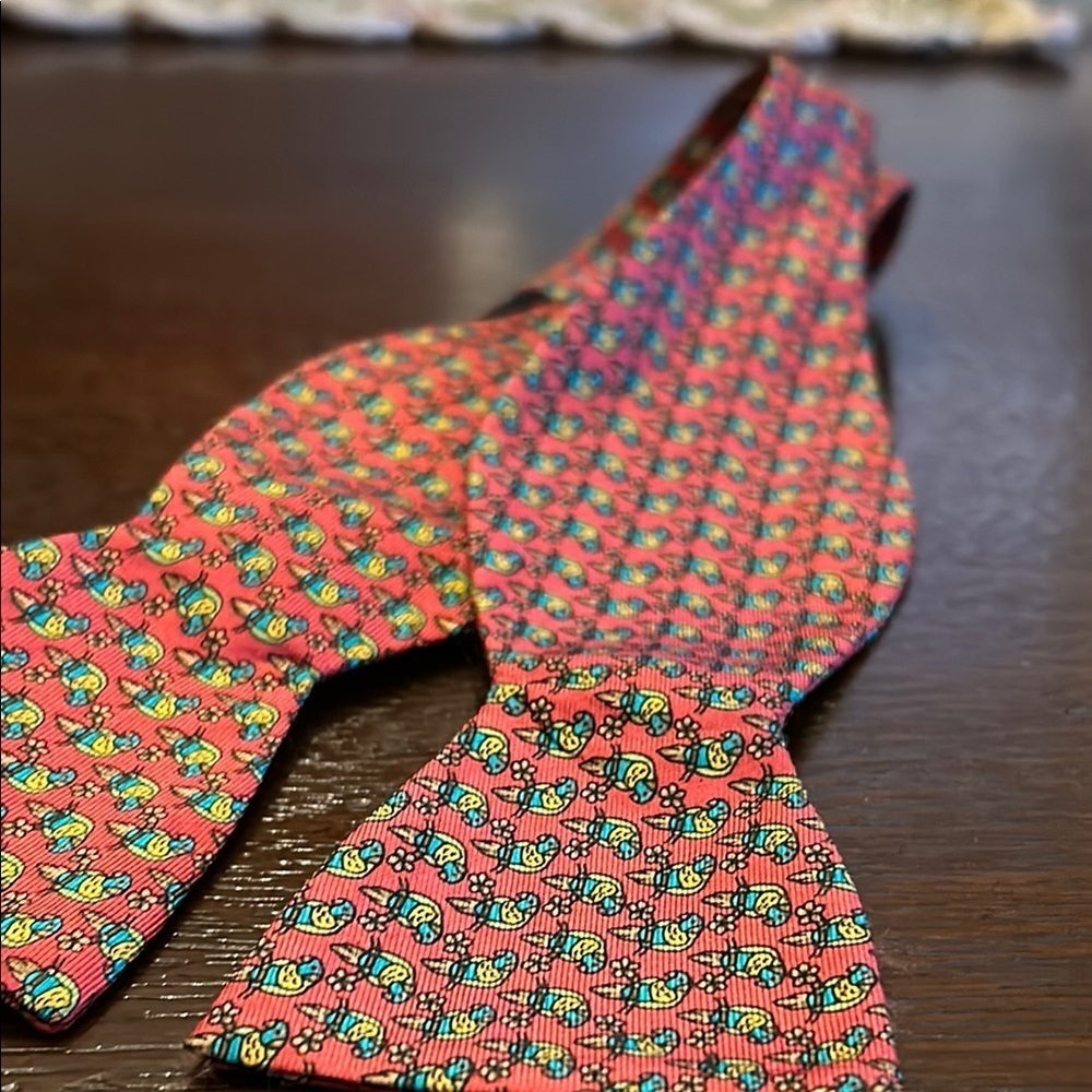 Silk Parrot Bow Tie
